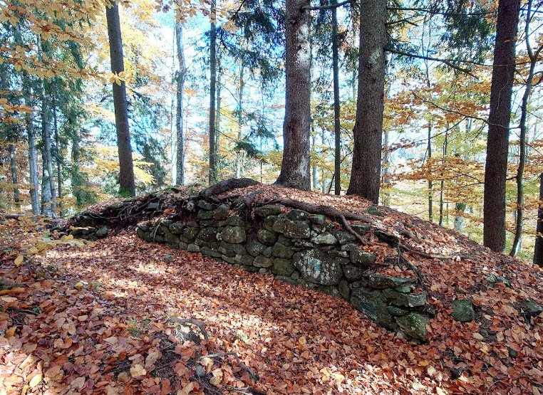 Cetatea Tartód (Vărşag), Romania, Romania